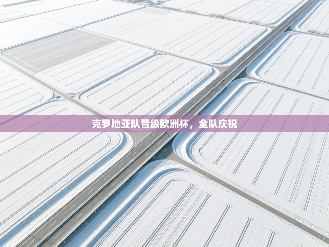 克罗地亚队晋级欧洲杯，全队庆祝  第1张