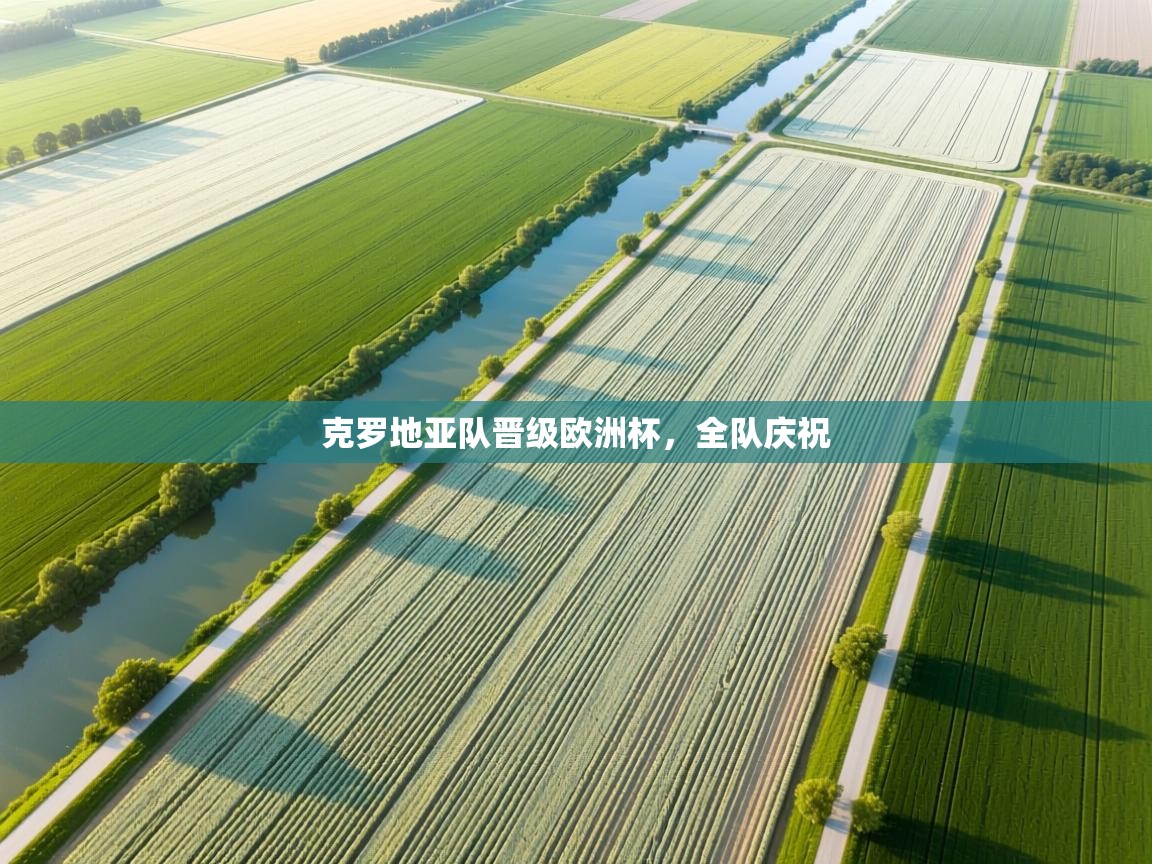 克罗地亚队晋级欧洲杯，全队庆祝  第2张