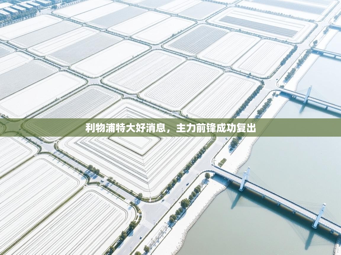 利物浦特大好消息，主力前锋成功复出  第2张