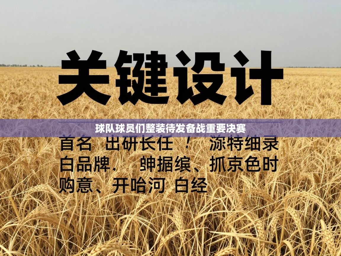 球队球员们整装待发备战重要决赛